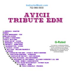 Avicii Tribute EDM