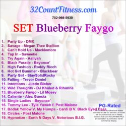 SET Blueberry Faygo