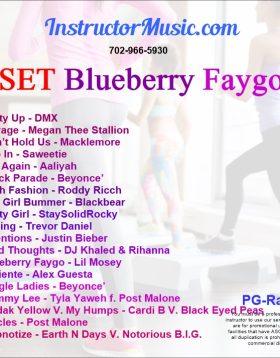 SET Blueberry Faygo